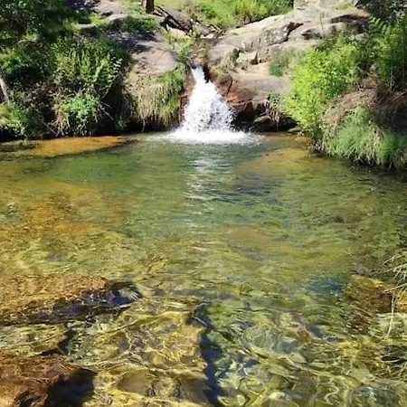 En Rosalia De Castro Lejlighed *